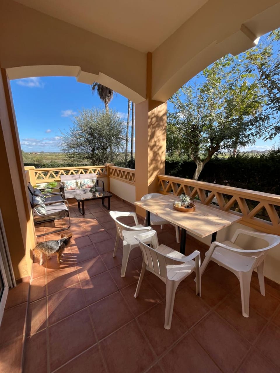 Balcony/Terrace