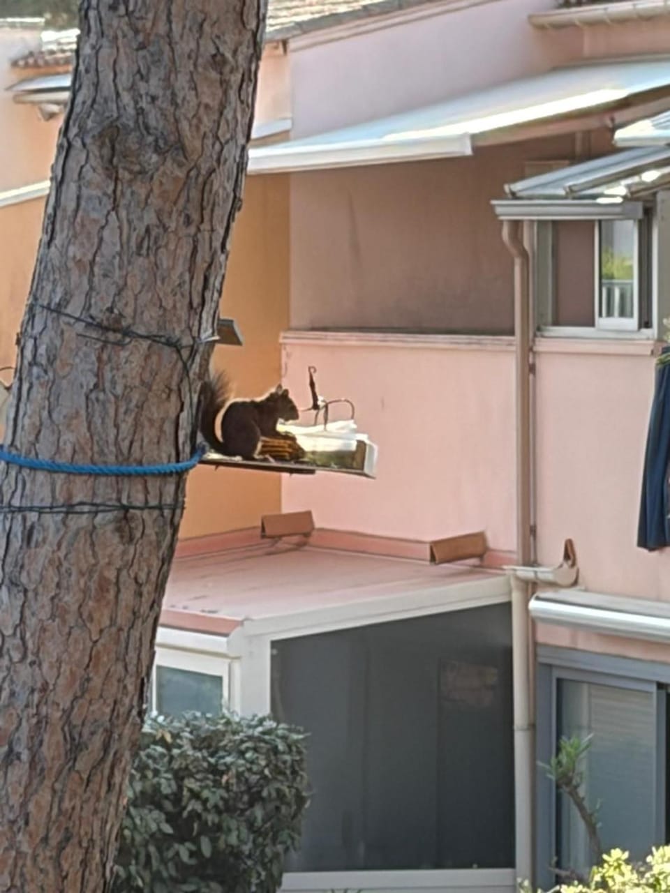 Appartement à 100m du village naturiste,tout équipé, climatisé,place parking Apartment in Agde