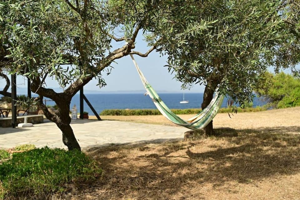 Day, Natural landscape, Garden, Sea view