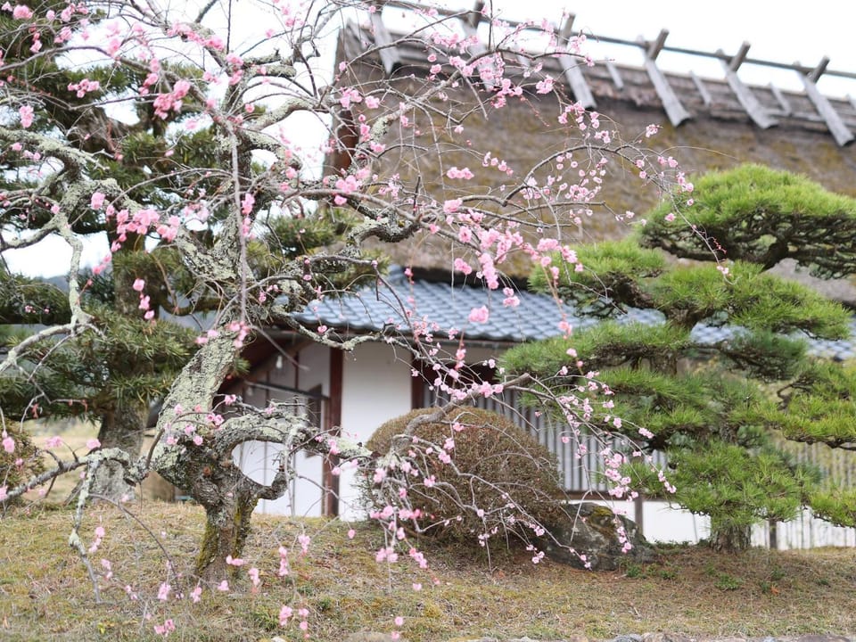 Property building, Spring