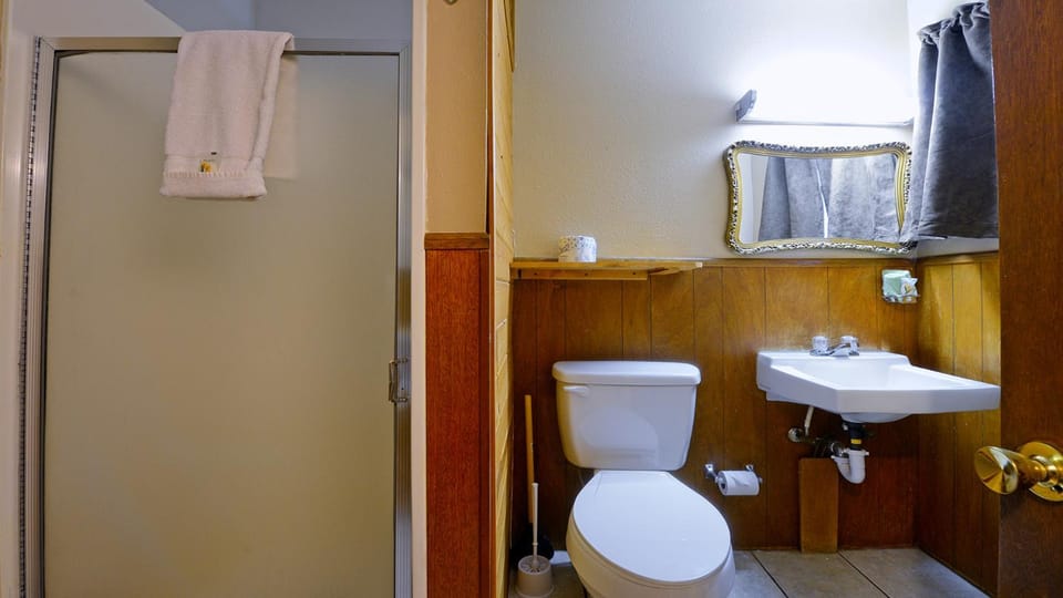 Shower, Toilet, Bathroom, towels