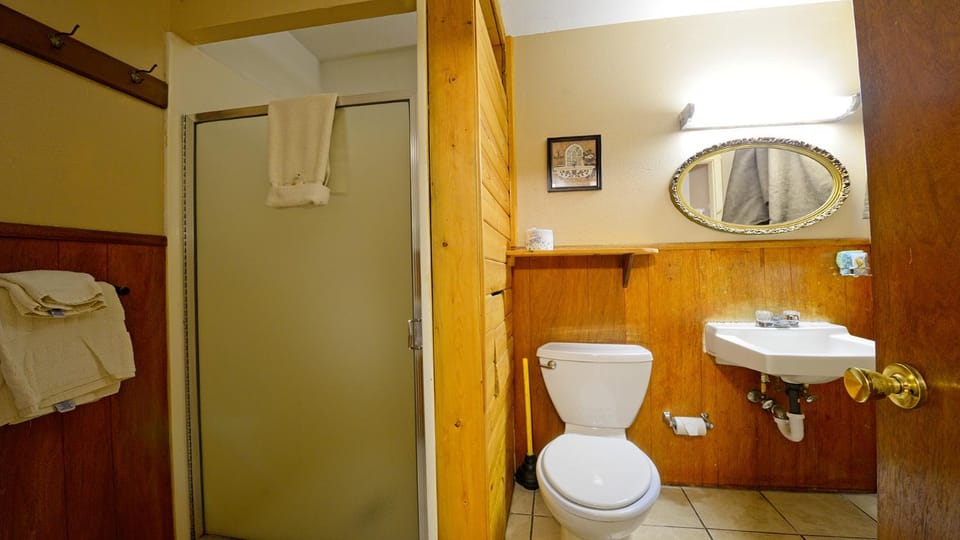 Shower, Toilet, Bathroom, towels, wardrobe