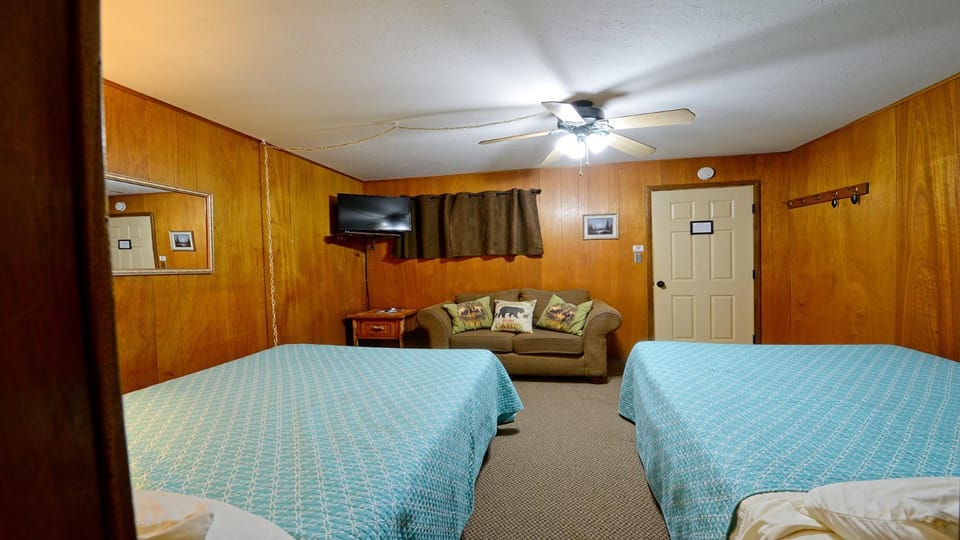 Bed, TV and multimedia, Living room, Bedroom