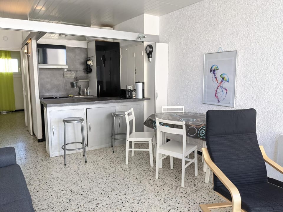 T2 Front de Mer Vu latérale, 4 pers, Parking, Proche plage et animations - FR-1-797-16 Apartment in Port-la-Nouvelle