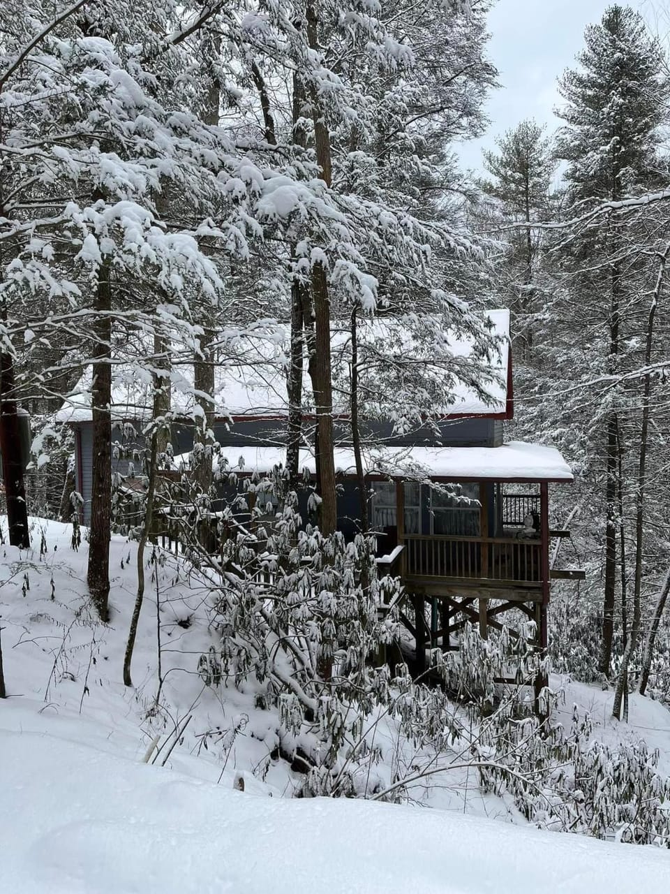 Property building, Winter