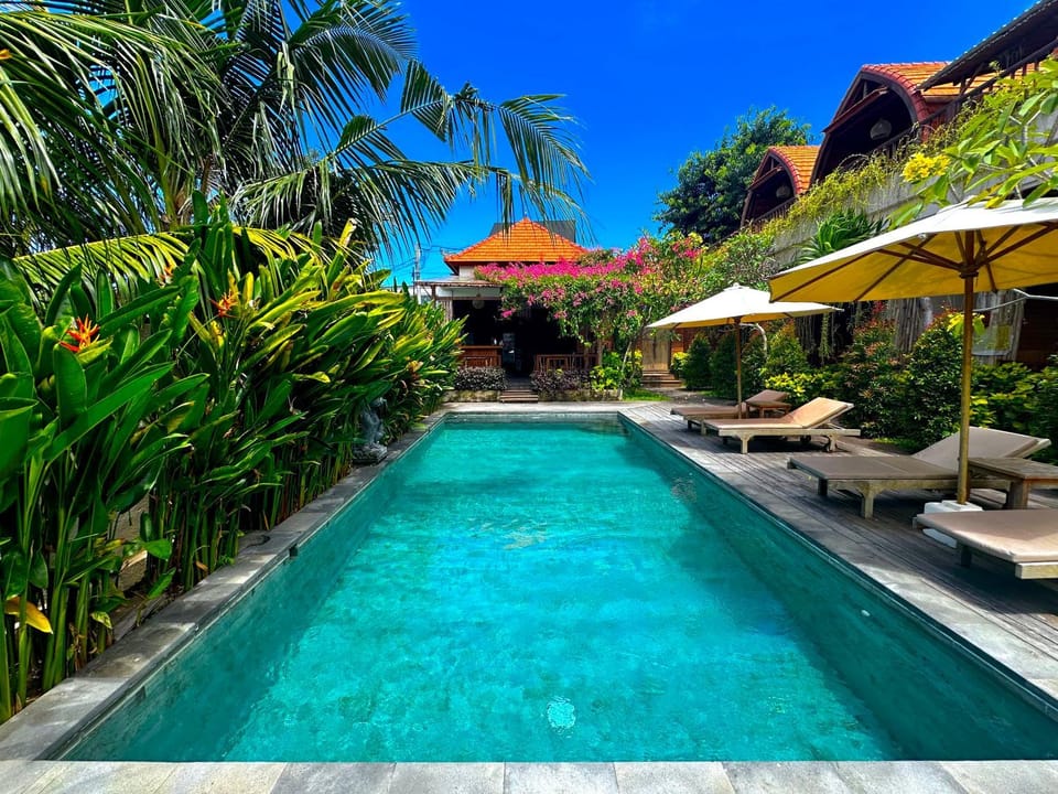 Garden, Garden view, Pool view, Swimming pool, sunbed