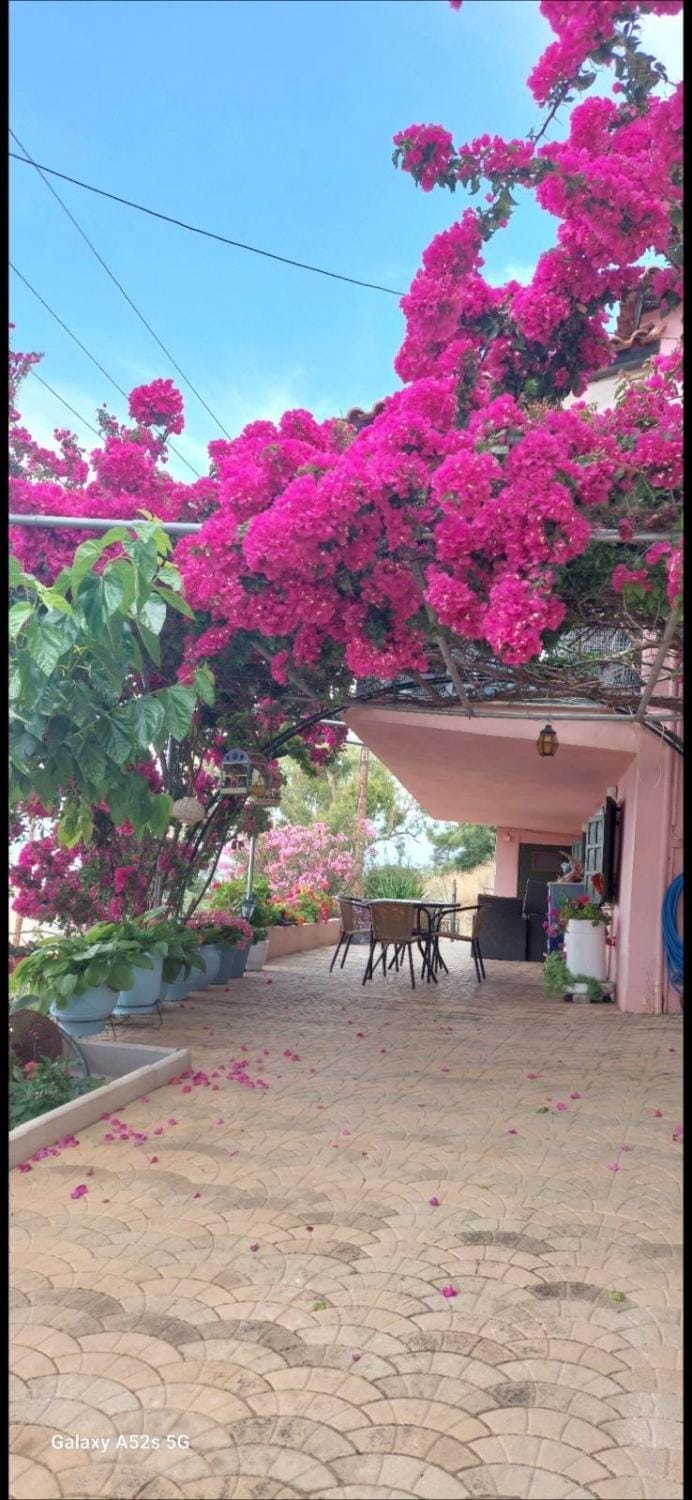 Βίλα Πασιθέα Villa in Argolis, Greece