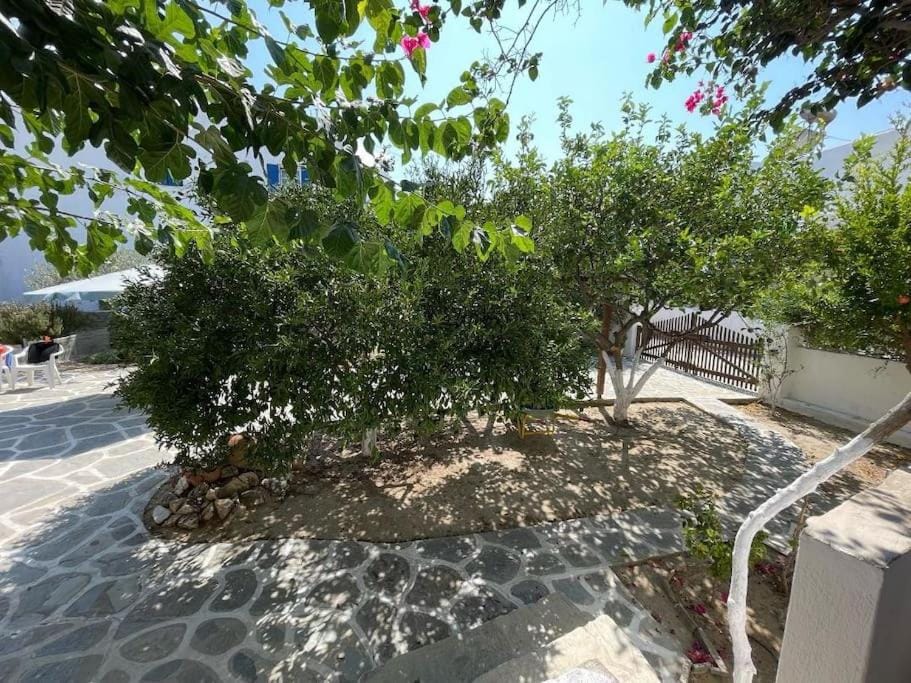 Day, Garden, Garden view