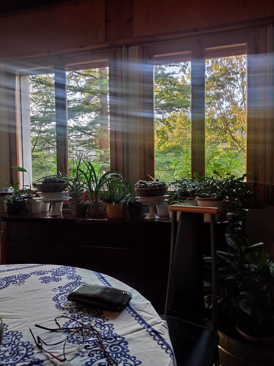 Living room, Seating area, Garden view