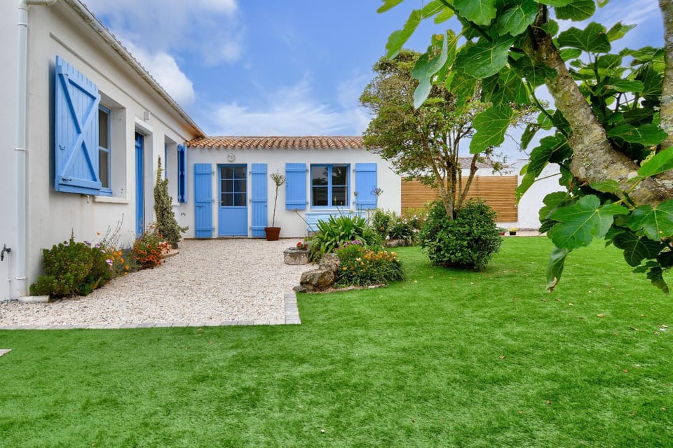Patio, Garden, Garden view