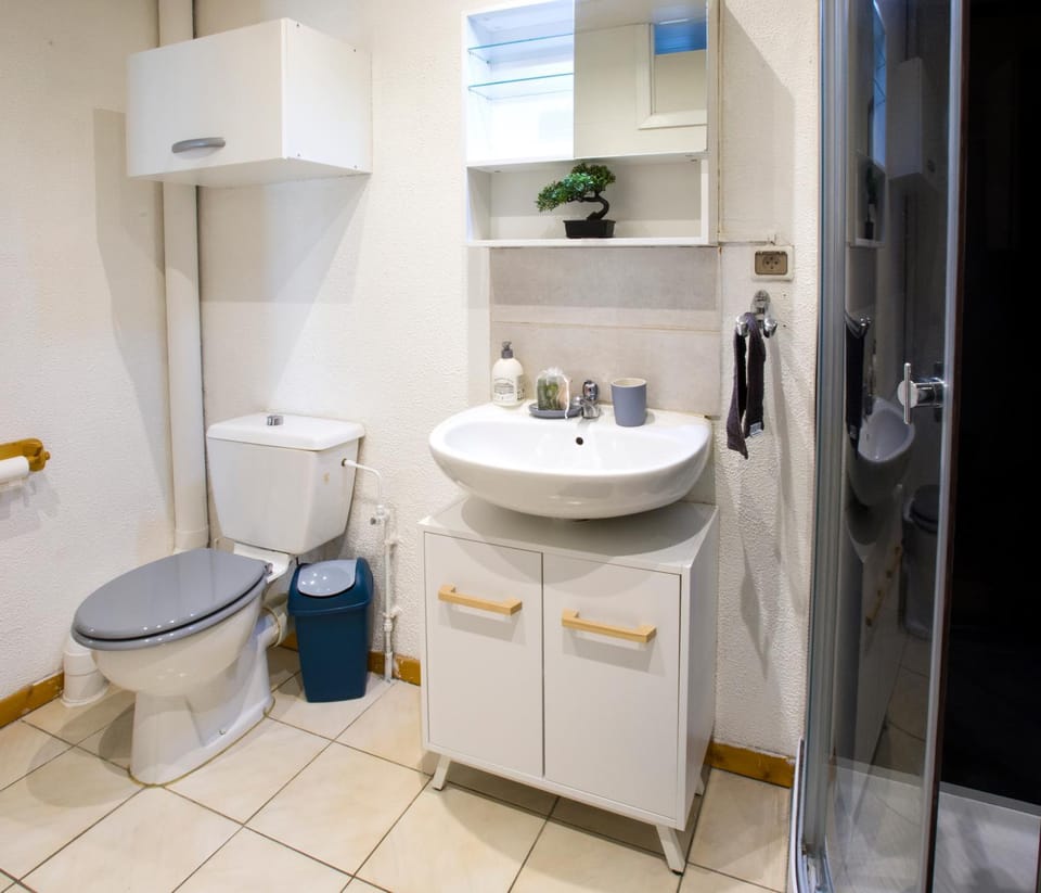 Shower, Toilet, Bathroom