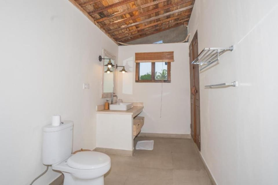 Toilet, Bathroom, bidet