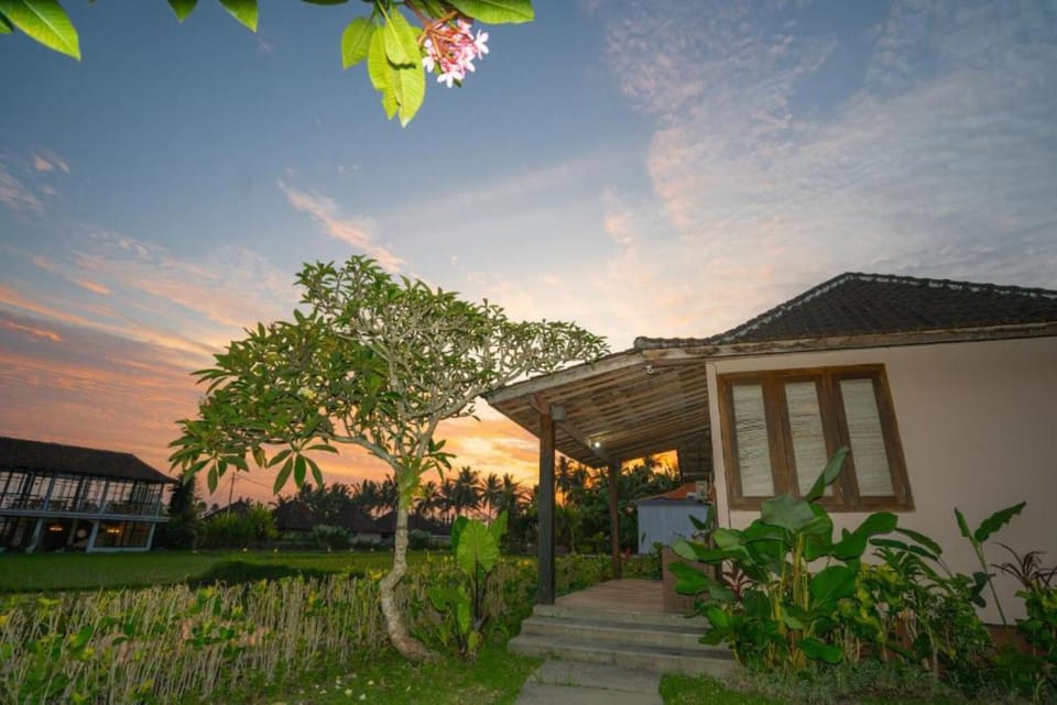 Property building, Spring, Day, Garden, Garden view, Sunrise, Sunset