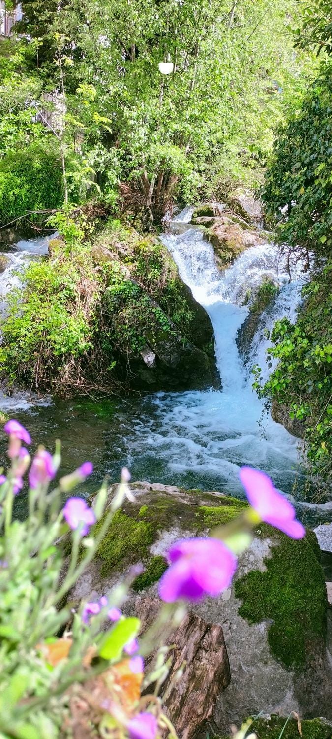 River view