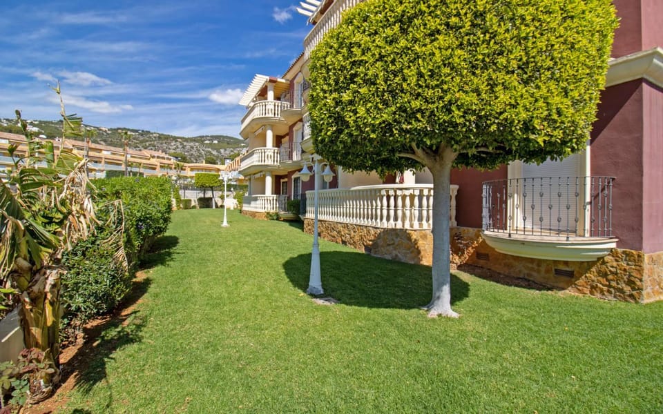 Patio, Garden, Garden view