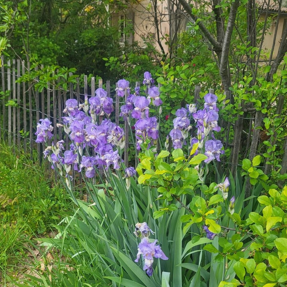 L' Escale House in Bonnieux