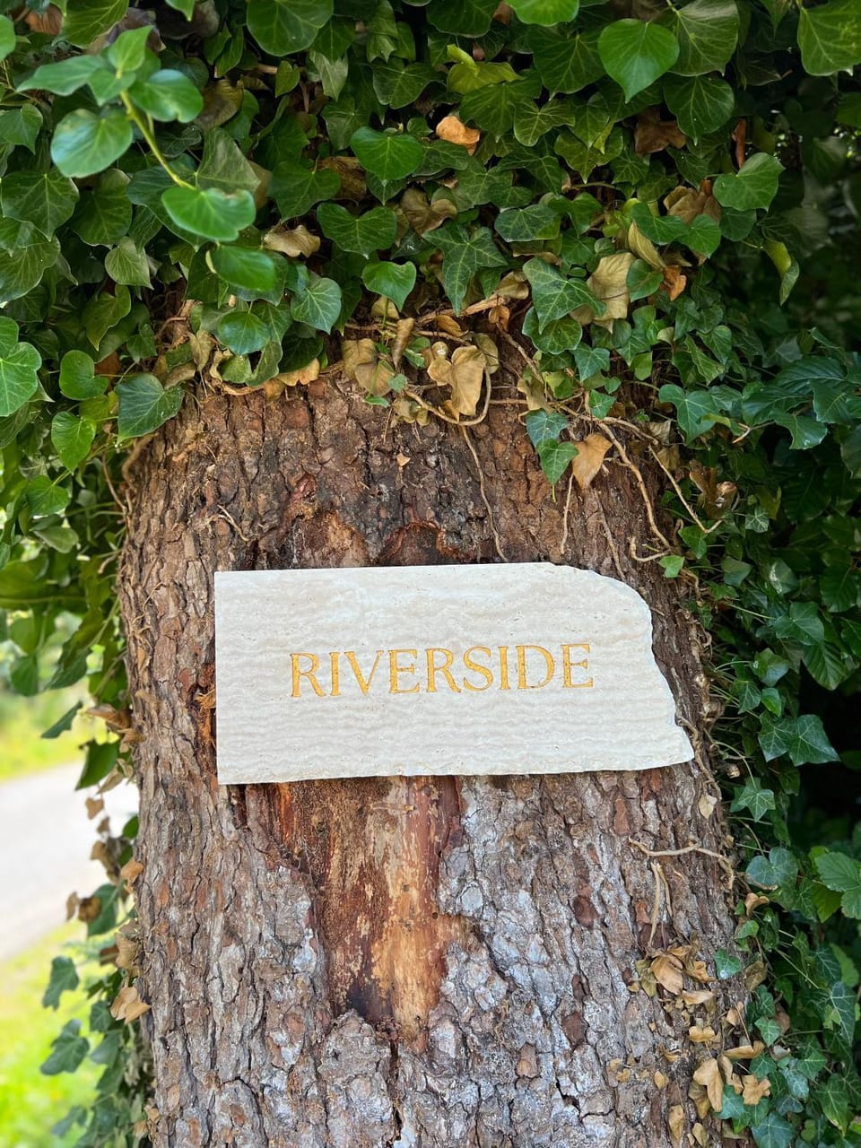 Property logo or sign, Logo/Certificate/Sign, Street view