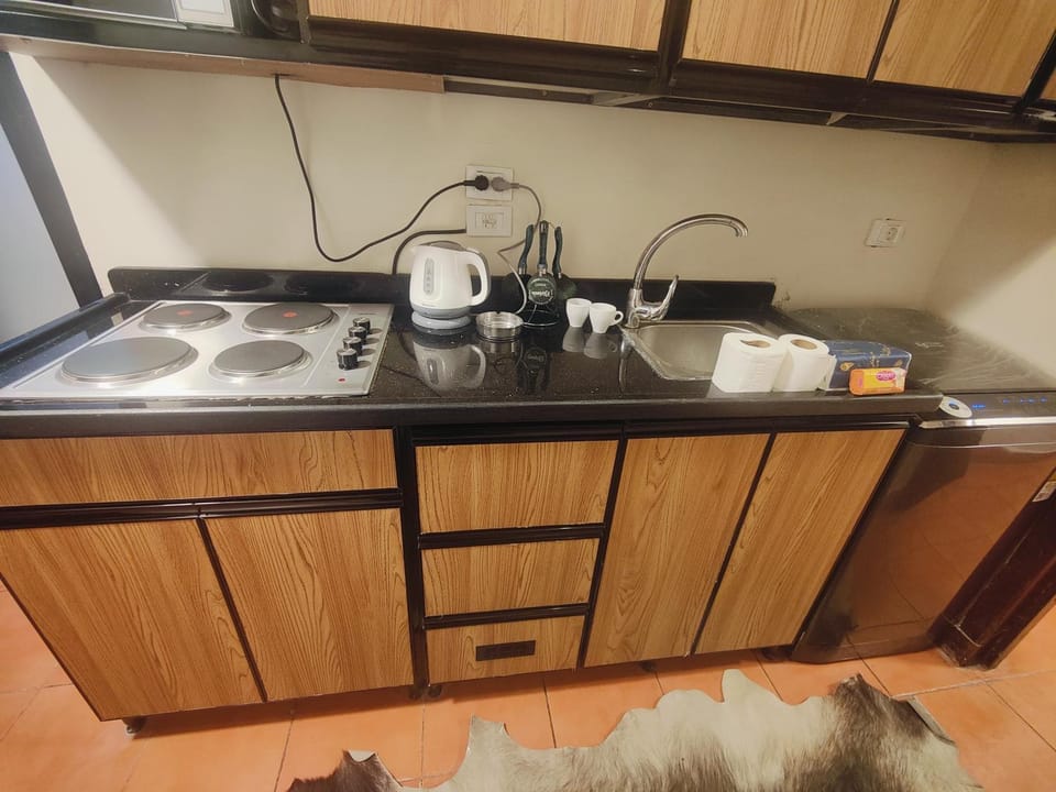 Coffee/tea facilities, Kitchen or kitchenette, minibar, stove