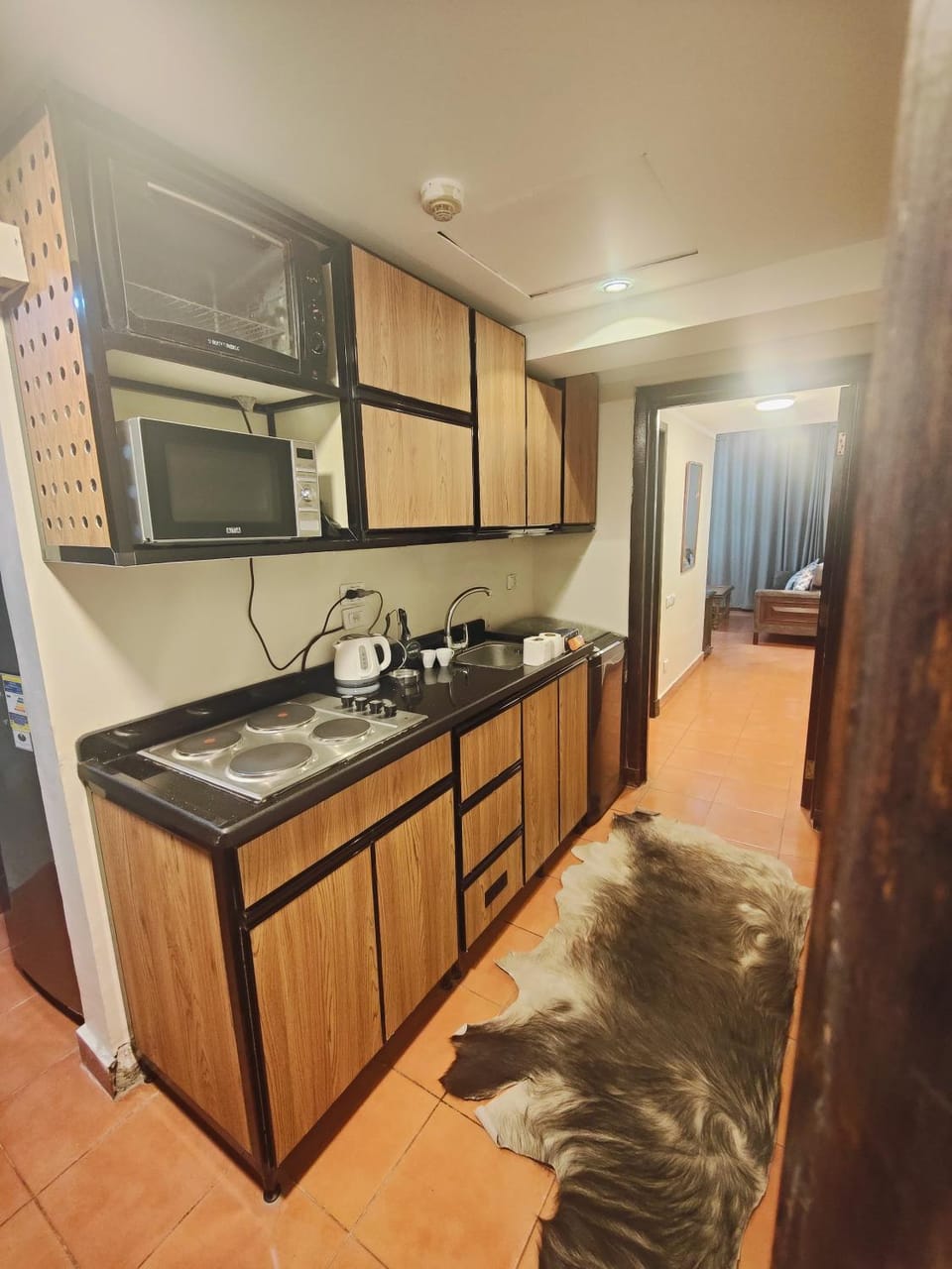 Kitchen or kitchenette, minibar, stove