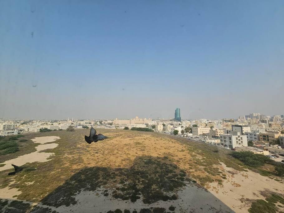 Day, Natural landscape, Bird's eye view, City view