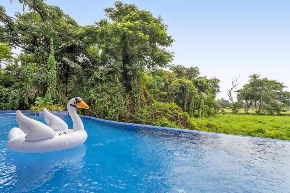 Other, Swimming pool