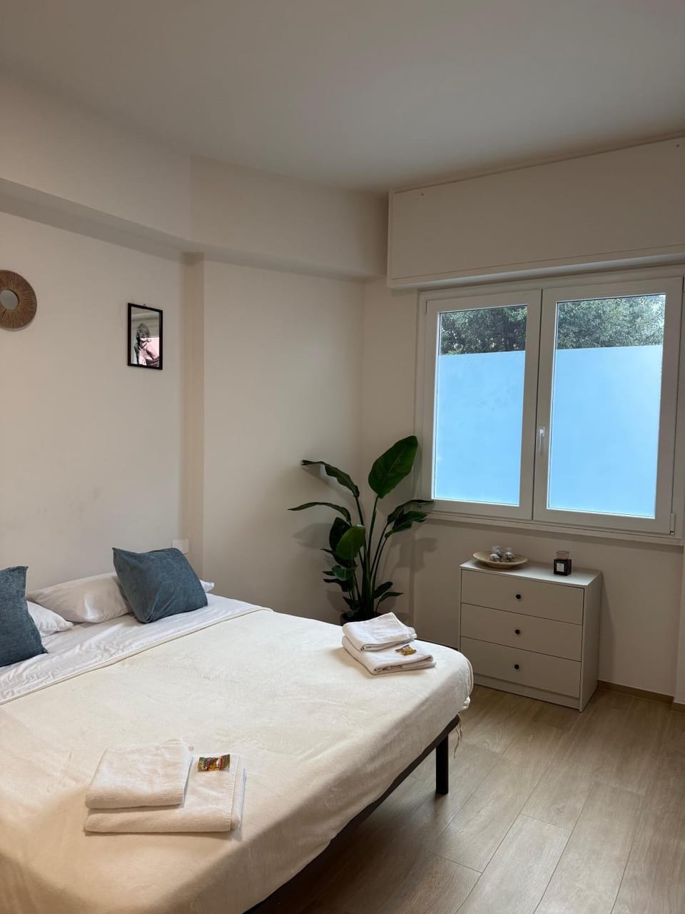 Bed, Photo of the whole room