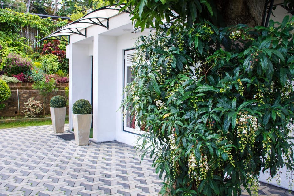 Property building, Garden