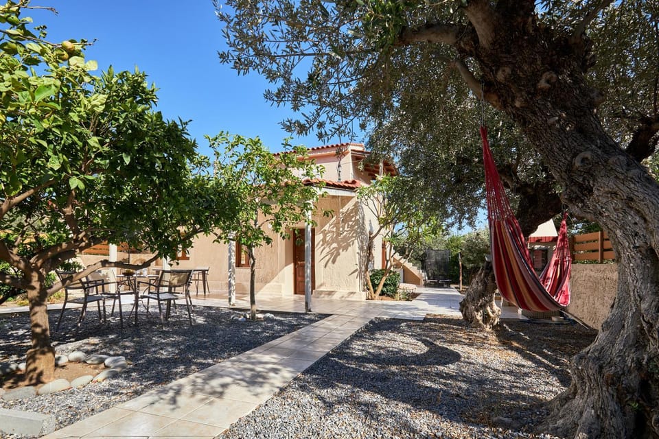 Property building, Garden view