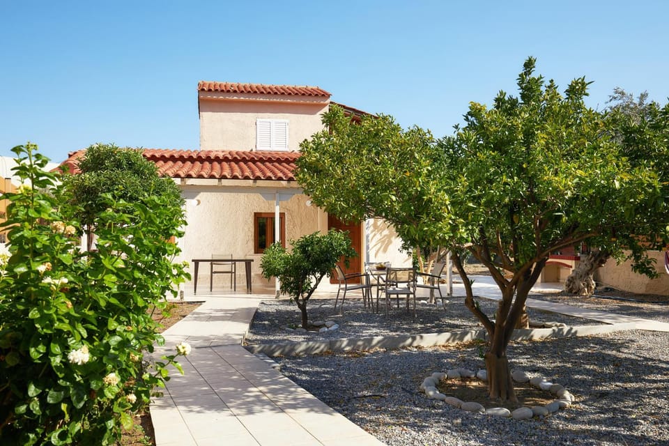 Property building, Garden, Garden view
