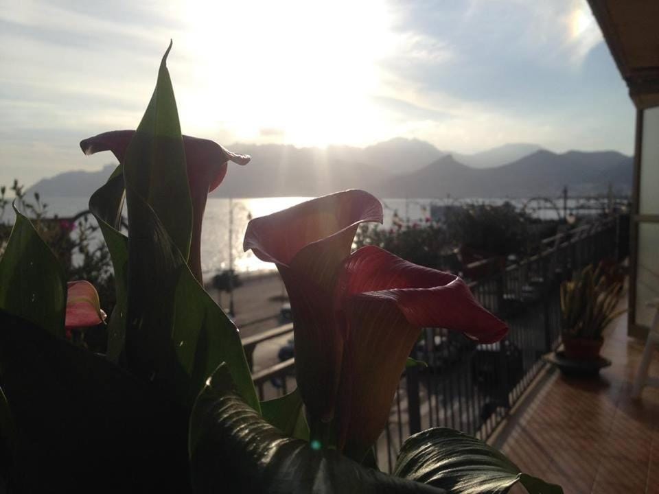 Balcony/Terrace, Balcony/Terrace