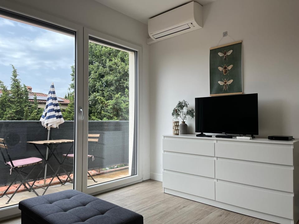 TV and multimedia, air conditioner
