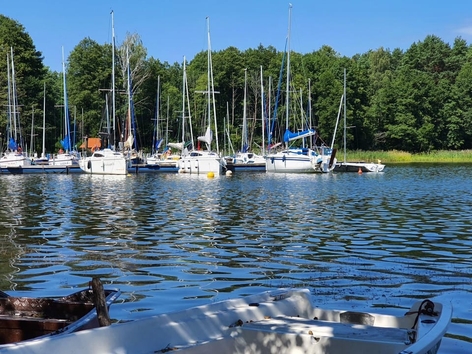 Lake view