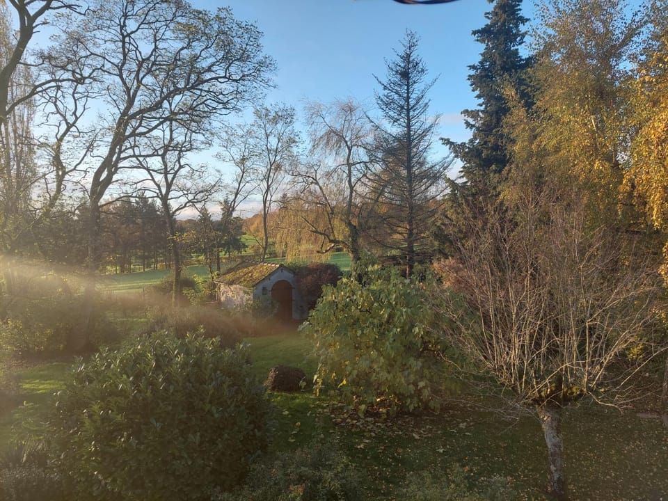 Natural landscape, On site