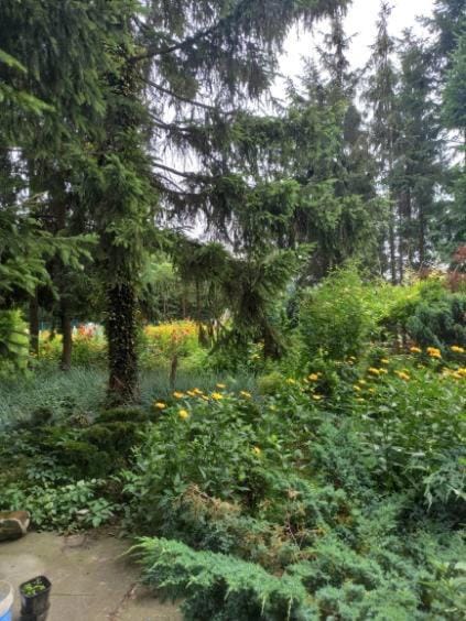 Noclegi u Uli Apartment in Greater Poland Voivodeship