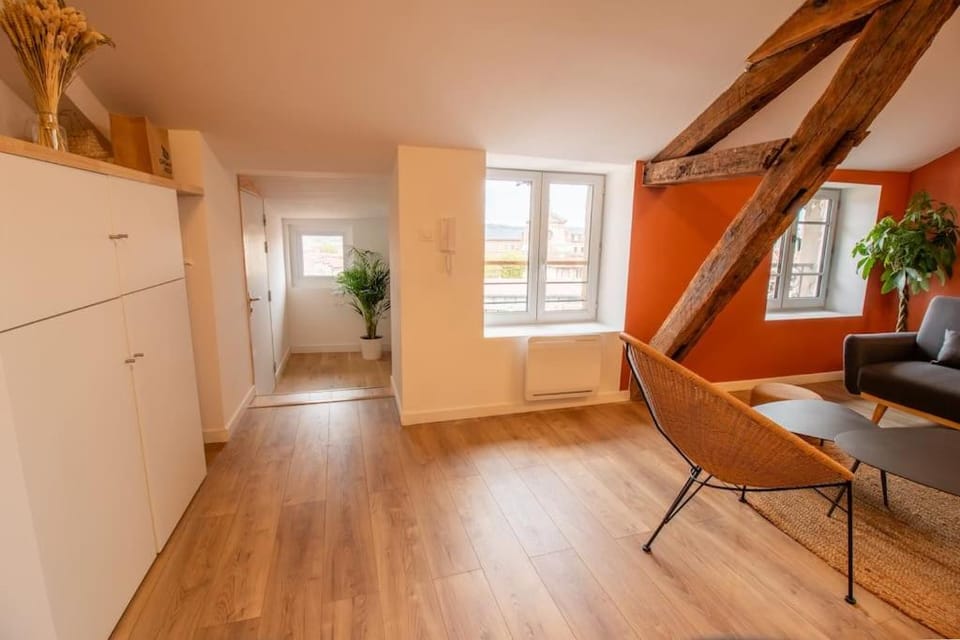 Loft atelier hyper centre Albi Apartment in Albi