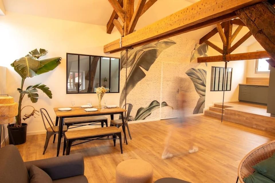 Loft atelier hyper centre Albi Apartment in Albi