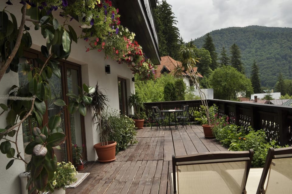 Garden, Balcony/Terrace