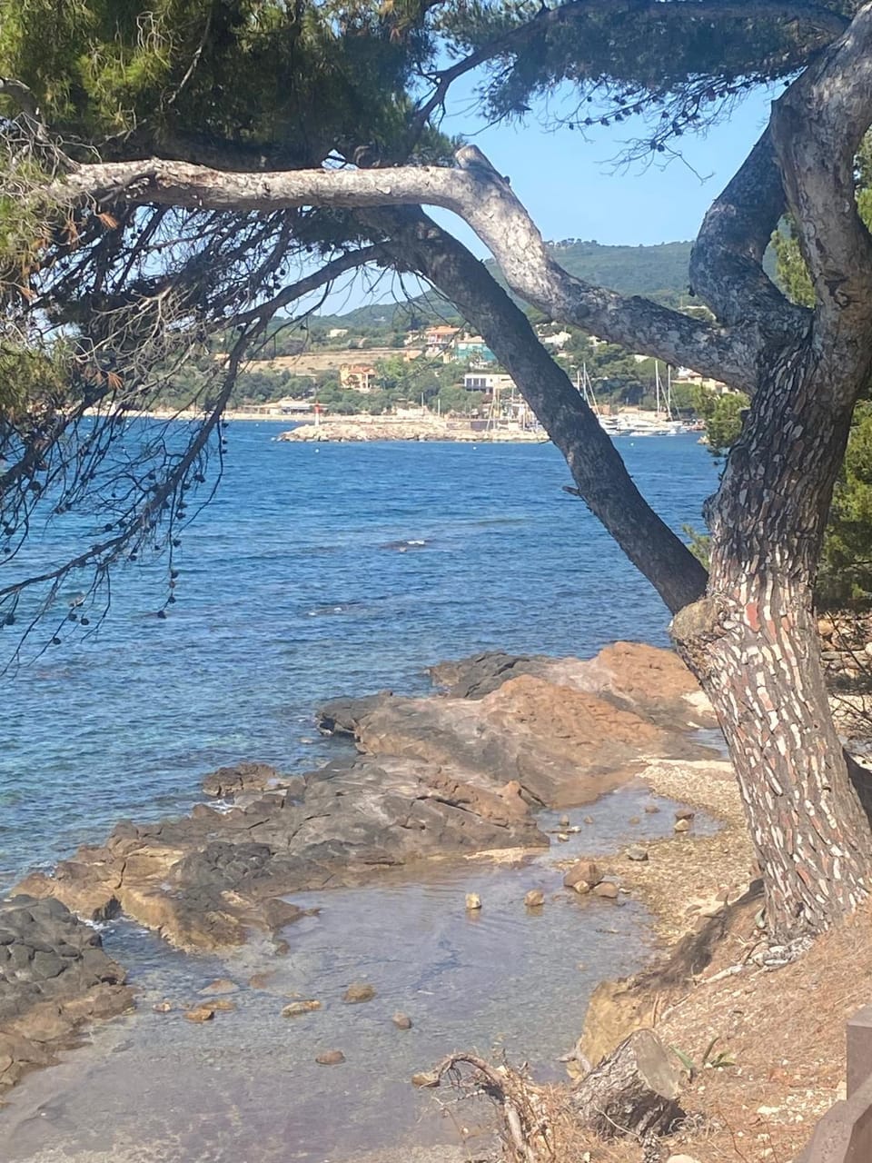 Nearby landmark, Natural landscape