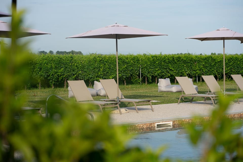 Garden, Swimming pool, Swimming pool, sunbed