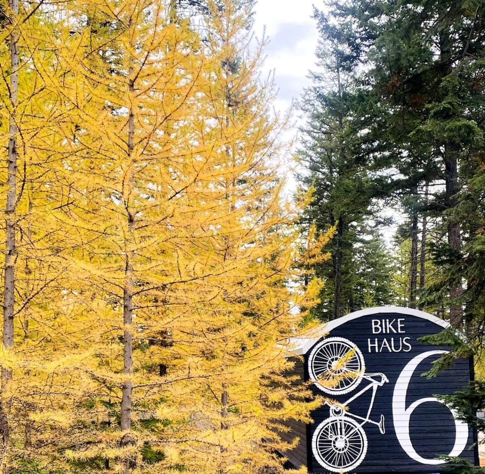 BIKE HAUS Cabin Retreat Sauna, Plunge, Hot Tub Cabin in Flathead Lake