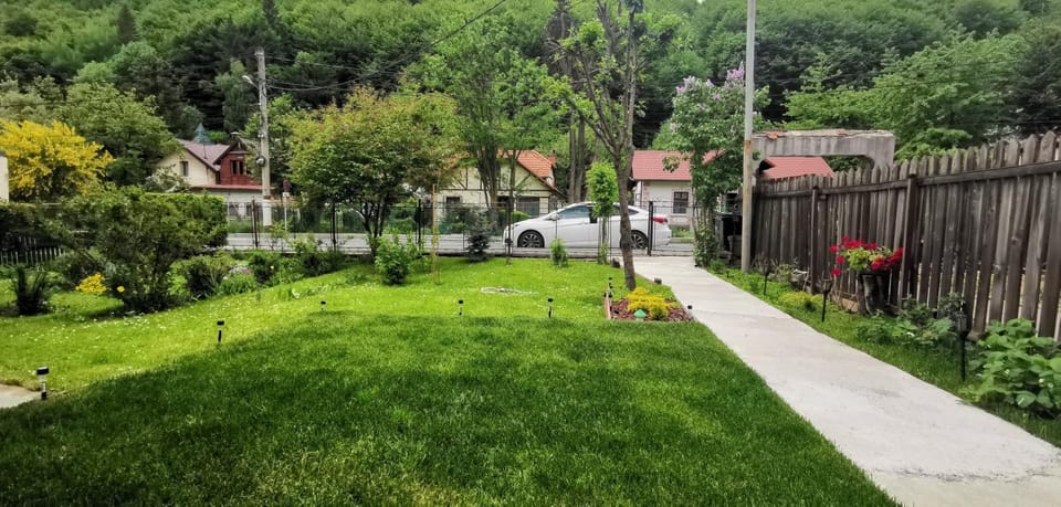 Day, Garden, Garden view, Street view, Quiet street view