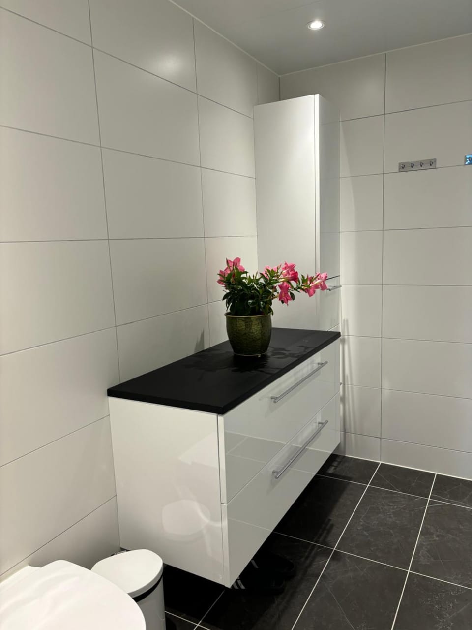 Leilighet midt i Bodø Sentrum Apartment in Nordland, Norway