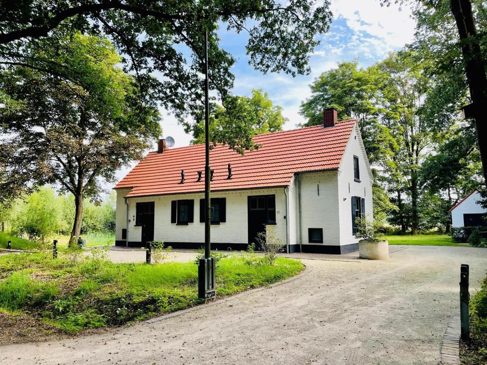 Property building, Summer