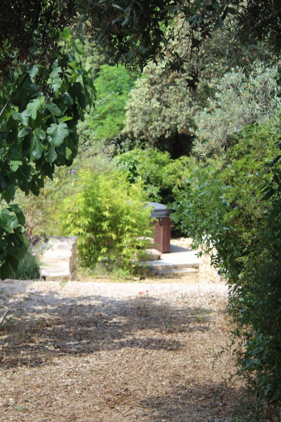 Spring, Natural landscape, Garden, Spa and wellness centre/facilities