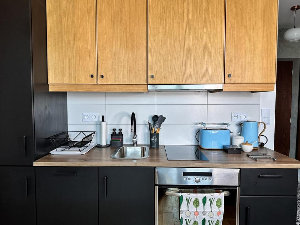 Apartament KOŁO Parku Apartment in Warsaw