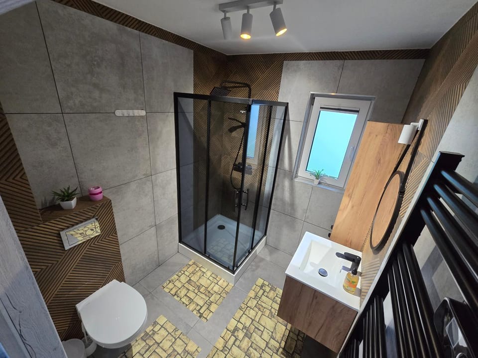 Shower, Toilet, Bathroom, towels
