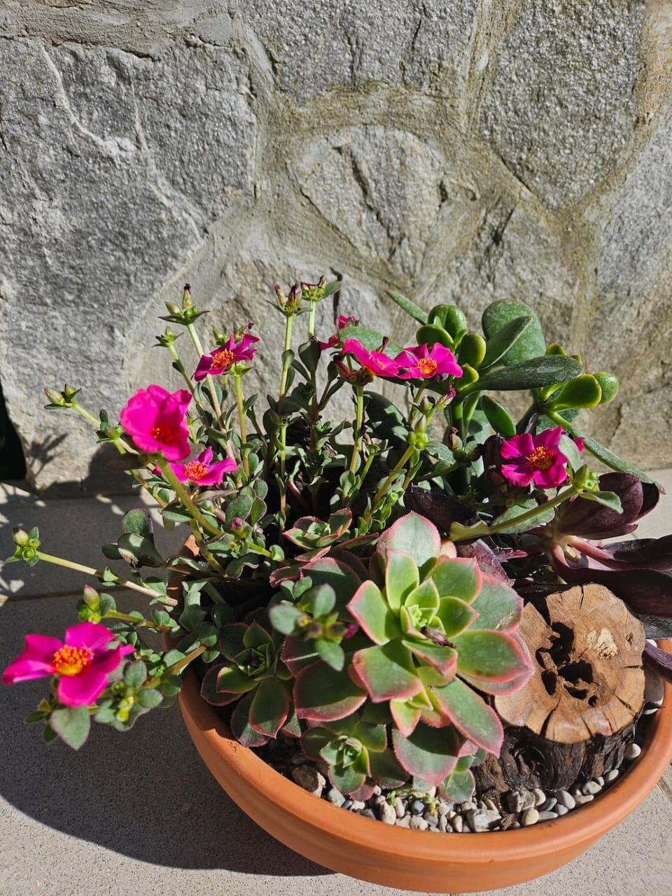 Garden, Garden view