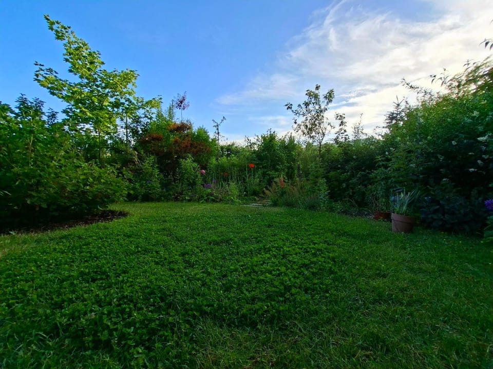 Przestronne mieszkanie przyjazne dzieciom i zwierzetom Apartment in Gdansk