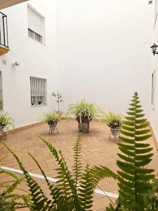 La Galería de Fariñas by Sanlúcar Housing Apartment in Sanlúcar de Barrameda