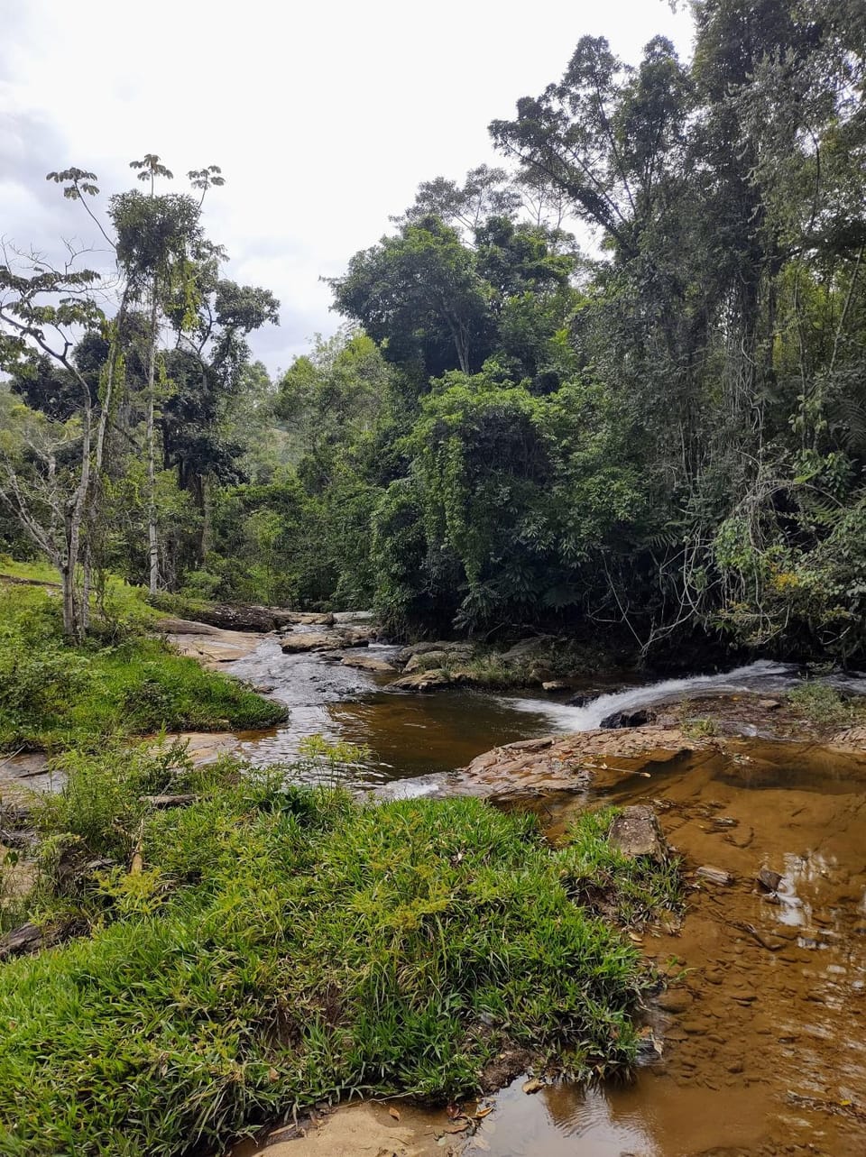 Natural landscape